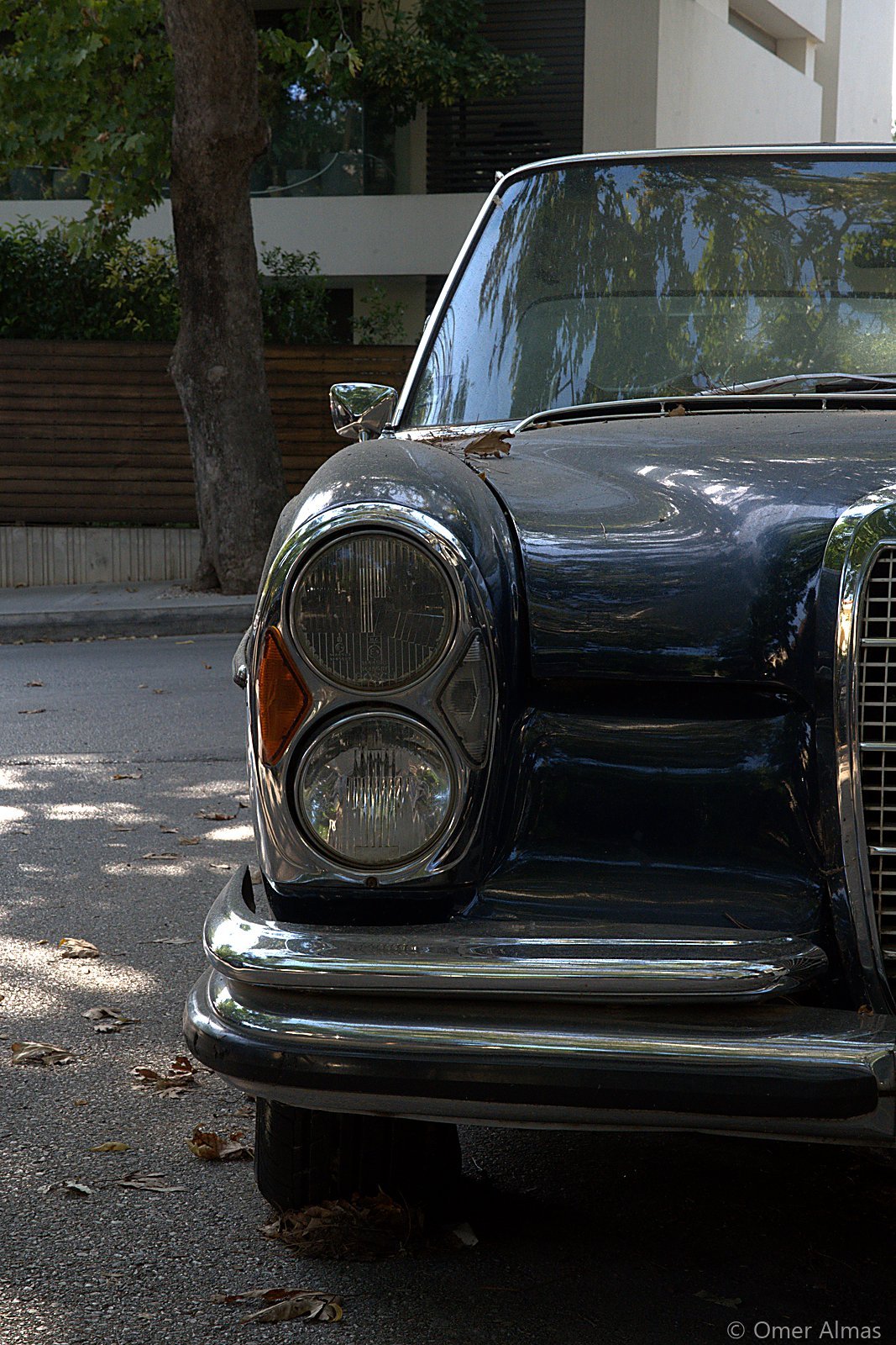 Classic Lines